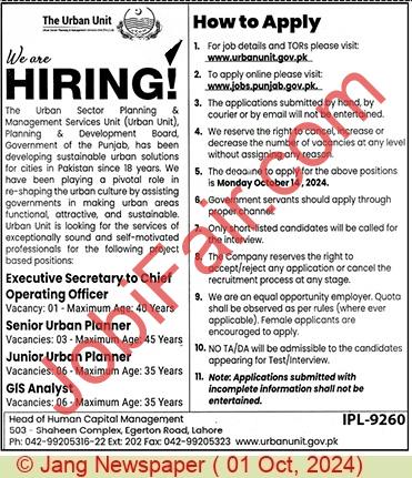 Urban Unit Punjab jobs 2024